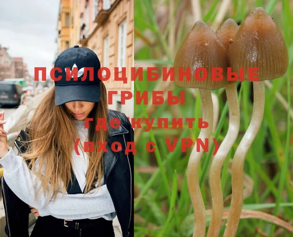 MESCALINE Аркадак