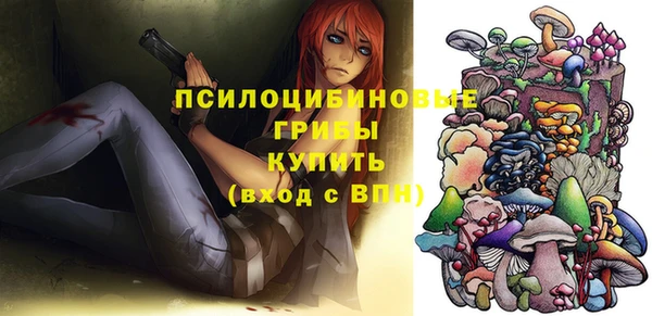 MESCALINE Аркадак