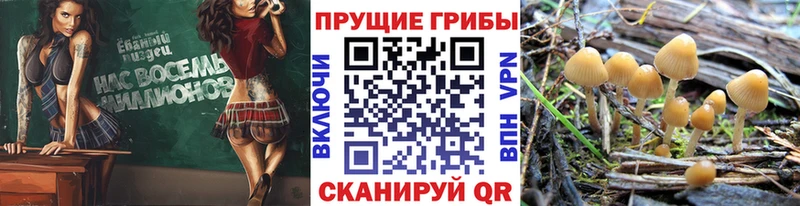Галлюциногенные грибы прущие грибы  где продают   ОМГ ОМГ сайт  Лабытнанги 